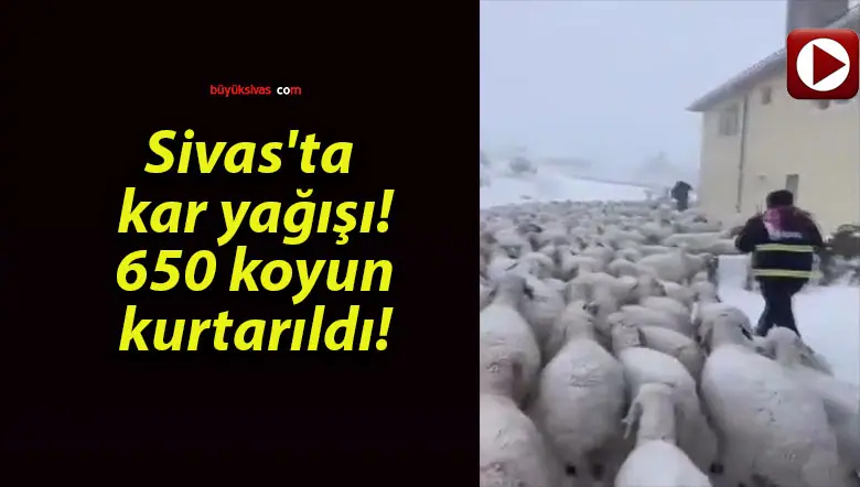 tarıldısa