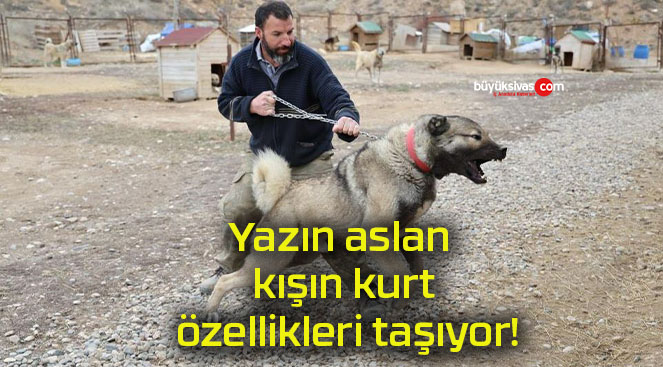 taşıyorsa