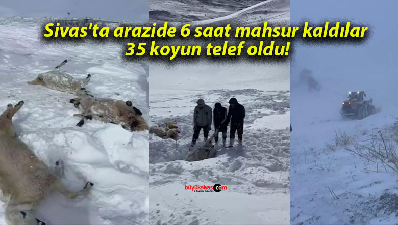 Sivas’ta arazide 6 saat mahsur kaldılar 35 koyun telef oldu!
