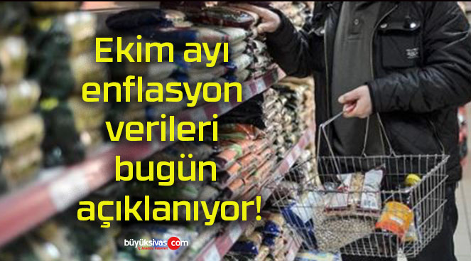 verileris