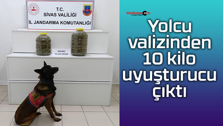 yolcu