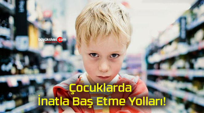yollar