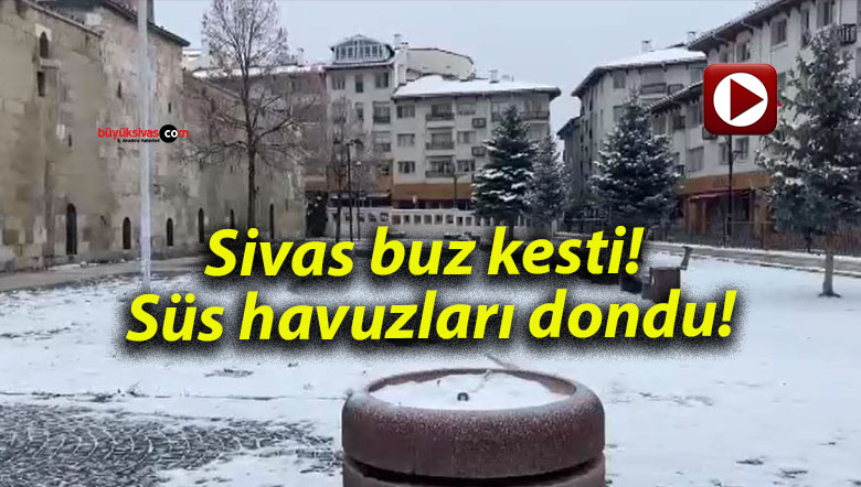 dondu