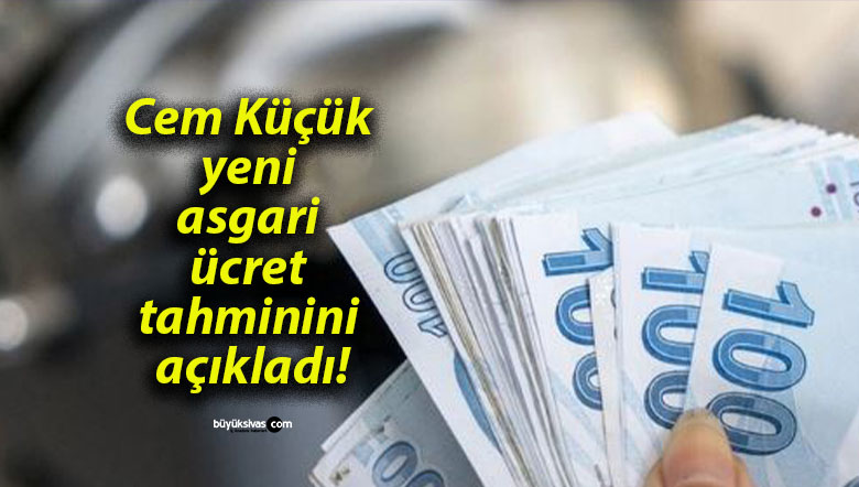 Cem Küçük yeni asgari ücret tahminini açıkladı!