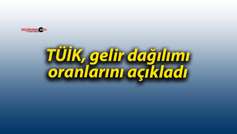 TÜİK, gelir dağılımı oranlarını açıkladı