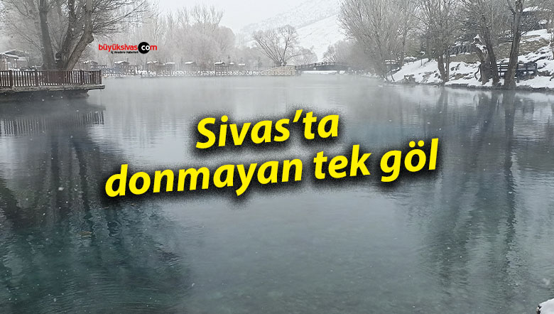 göl