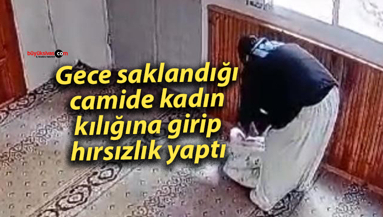 hırslık