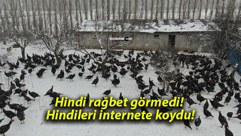 Hindi rağbet görmedi! Hindileri internete koydu!