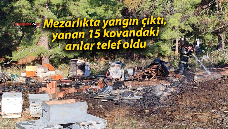 Mezarlıkta yangın çıktı, yanan 15 kovandaki arılar telef oldu