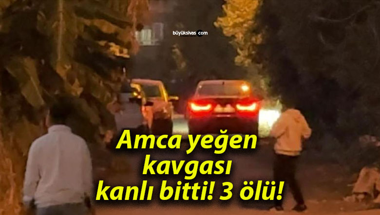 ölüsa