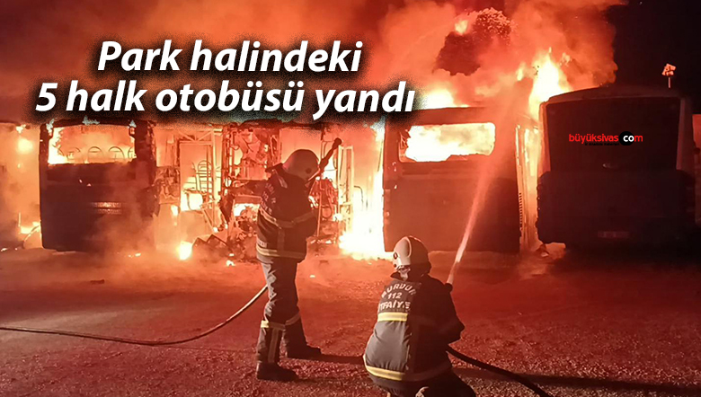 Park halindeki 5 halk otobüsü yandı 