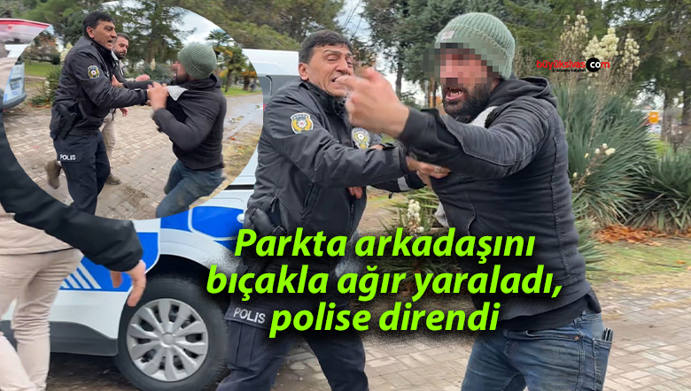 park