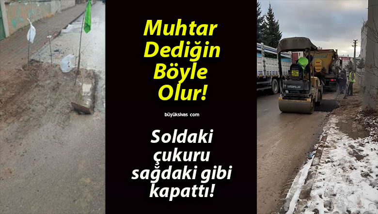 pattısa