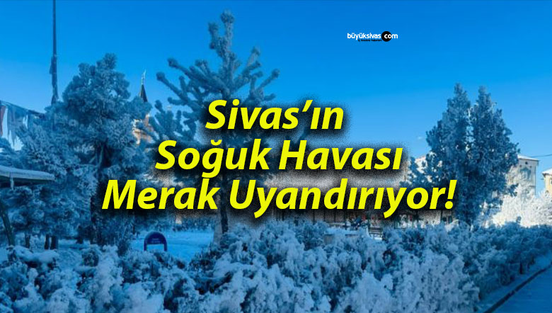 Sivas’ın Soğuk Havası Merak Uyandırıyor!