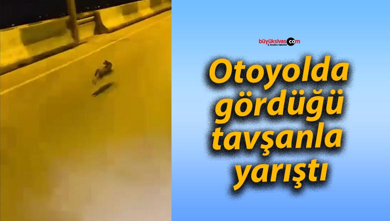 Otoyolda gördüğü tavşanla yarıştı