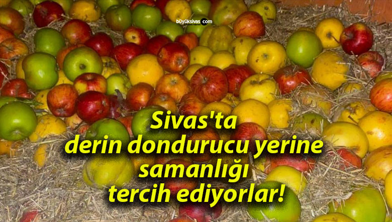 Sivas’ta derin dondurucu yerine samanlığı tercih ediyorlar!