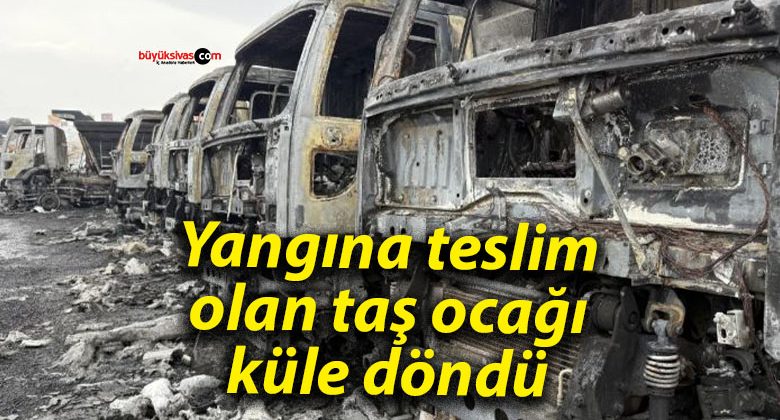 Yangına teslim olan taş ocağı küle döndü
