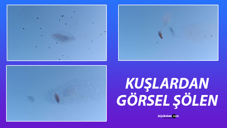 Gökyüzünde Binlerce Kuşun Dansı Görsel Şölen Oluşturdu!