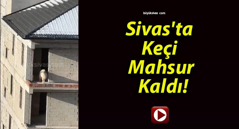 Sivas’ta Keçi Mahsur Kaldı!
