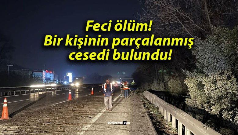 Feci ölüm! Bir kişinin parçalanmış cesedi bulundu!