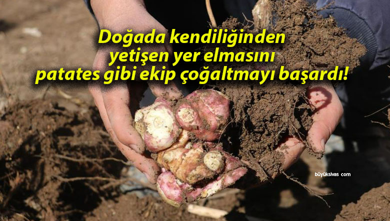 çoğlat