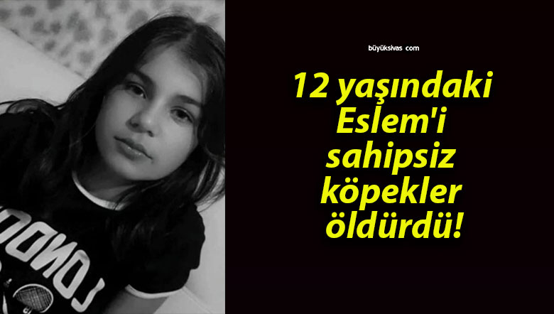12 yaşındaki Eslem’i sahipsiz köpekler öldürdü!