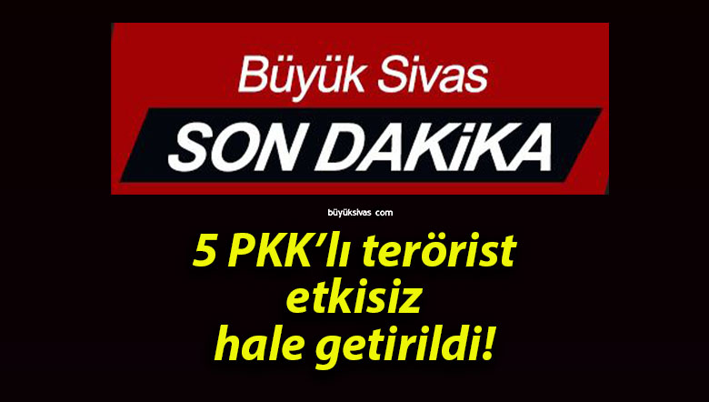 5 PKK’lı terörist etkisiz hale getirildi!