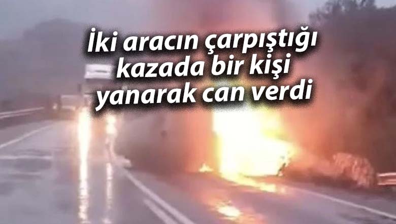 iki carp