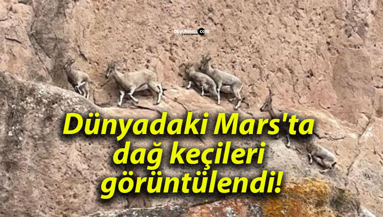 Dünyadaki Mars’ta dağ keçileri görüntülendi!