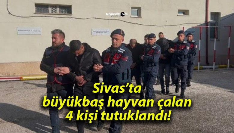Sivas’ta büyükbaş hayvan çalan 4 kişi tutuklandı!