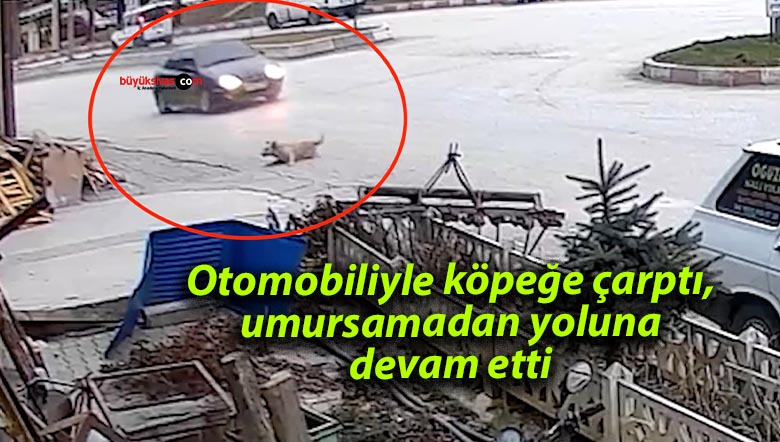 Otomobiliyle köpeğe çarptı, umursamadan yoluna devam etti