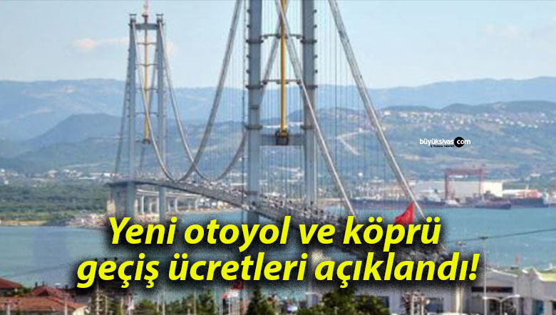 lanıdsa