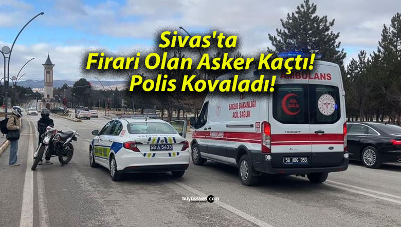 polisa