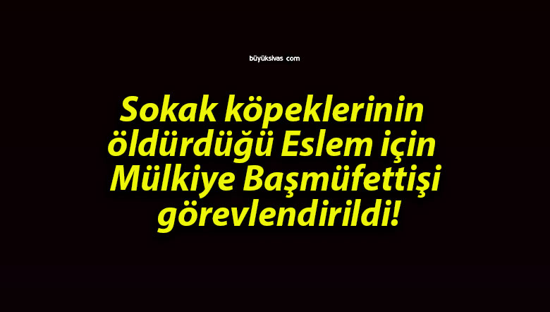 rebl