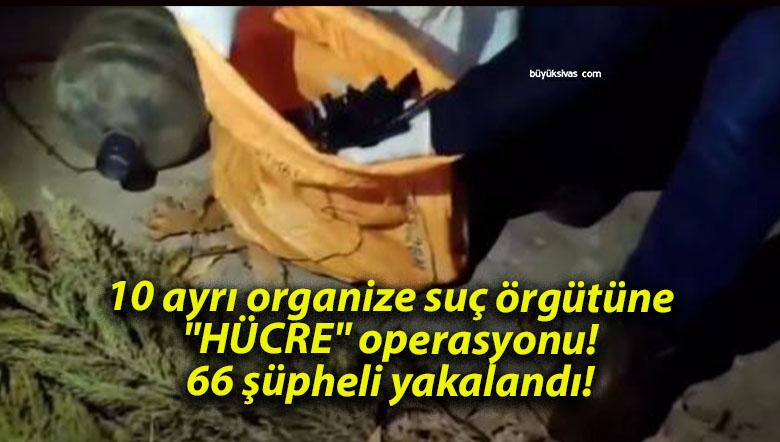 10 ayrı organize suç örgütüne “HÜCRE” operasyonu! 66 şüpheli yakalandı!
