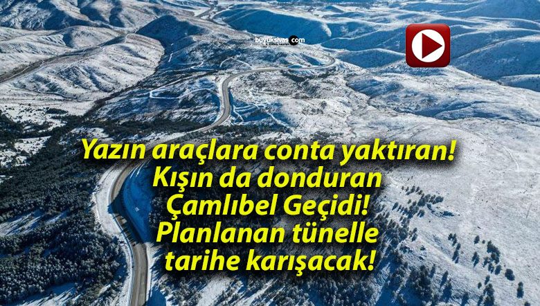 tarihsa