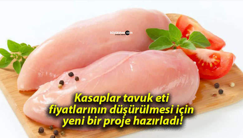 Kasaplar tavuk eti fiyatlarının düşürülmesi için yeni bir proje hazırladı!