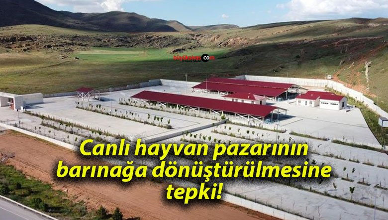 Canlı hayvan pazarının barınağa dönüştürülmesine tepki!