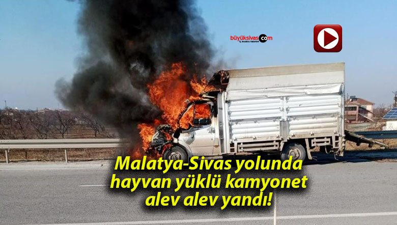 Malatya-Sivas yolunda hayvan yüklü kamyonet alev alev yandı!