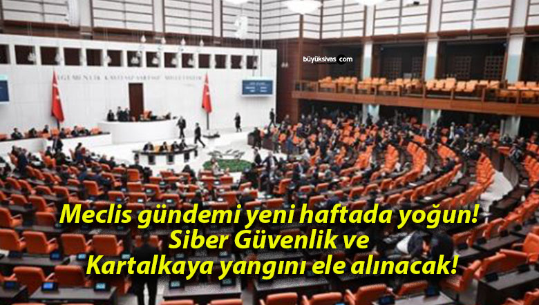 Meclis gündemi yeni haftada yoğun! Siber Güvenlik ve Kartalkaya yangını ele alınacak!