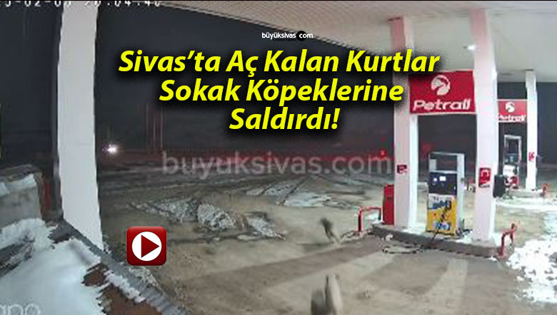 dırdı
