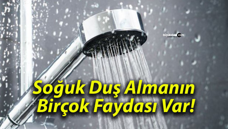 faydas