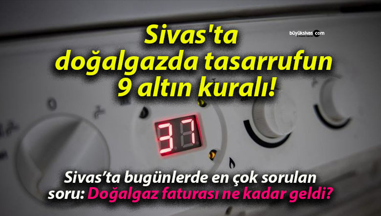 geldisa