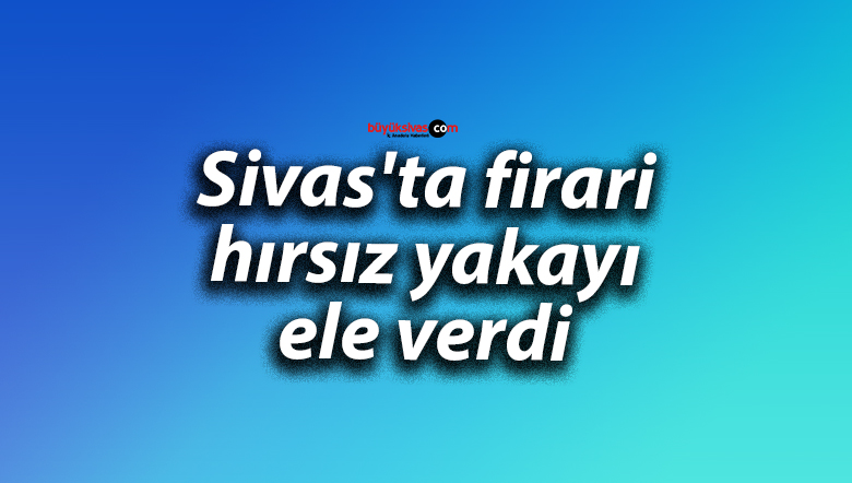 hırsız