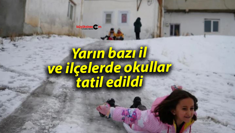 Yarın bazı il ve ilçelerde okullar tatil edildi
