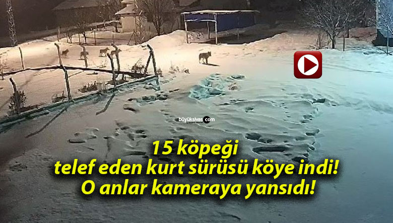 köyesa