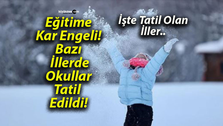 Eğitime Kar Engeli! Bazı İllerde Okullar Tatil Edildi!