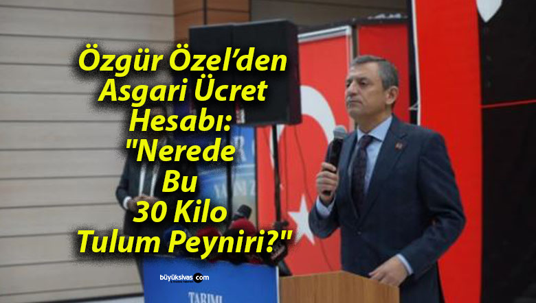 peynirsa