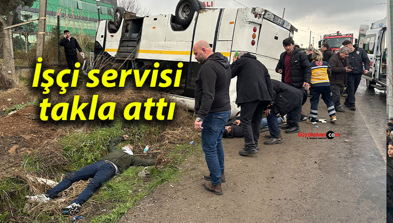 serdiv