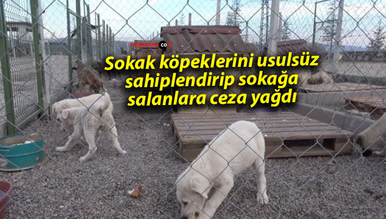 sokak